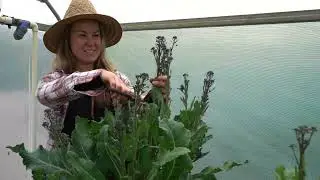 Farmers Taking Action: Towards regenerative farming practices
