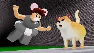 ROBLOX RATS