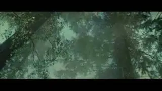 song Baroon