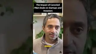 The Impact of Canceled M&A Deals on Startups and Investors
