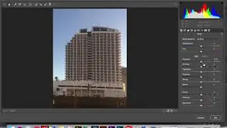 Correcting Perspective | Architecture Photography | Black and White | Adjustment Brushes