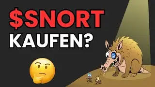 SNORTER COIN KAUFEN?🤔