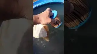 Осветление воды в бассейне.результат