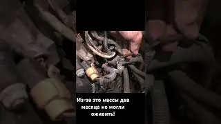 Ланос вытрепал весь мозг