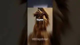 🔥Тв Мен Титан 2.0 Vs Титанов Мультиверсий🔥