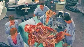 Hallow Man (2000) Full Movie Explained In Hindi | Invisible Man Summarised |