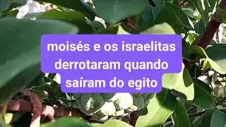 A Introdução da Lei Deuteronômio 4:44-49