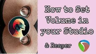 How to Set Volume in Studio