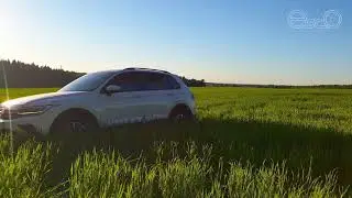 Каркасные Автошторки EscO - удобная и практичная защита от солнца и насекомых.