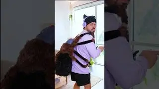 La Araña Gigante!🕷️