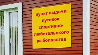 УМБА. ГОРБУША. РЫБАЛКА НА УМБЕ. РАЗВЕДКА 