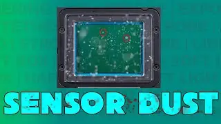 Keeping Your Camera Sensor Clean!