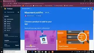 Royal ScreenLock - Setup google service and wallpapers database