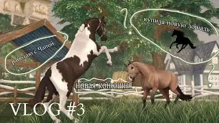 КУПИЛА НОВУЮ ЛОШАДЬ? | РАБОТАЮ С ЧАПОЙ | ПЕРЕЕЗД В НОВУЮ КОНЮШНЮ ЧТО БУДЕТ ДАЛЬШЕ? | RRP КОНОВЛОГ #3