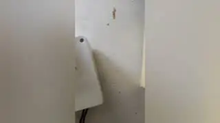 Como identificar el voltaje para un protector