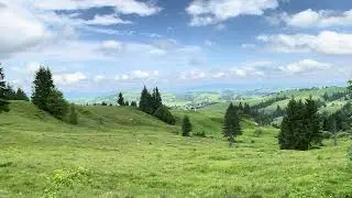 с.Замагора, Верховинський р- н. червень 2024 р.