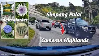 [FAST⏩] DARI SIMPANG PULAI NAIK KE CAMERON HIGHLANDS | AGRO MARKET | ARPHA A12 2K