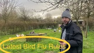 Avian Influenza guidance Uk December 2020