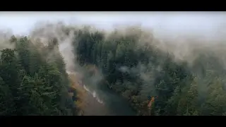 earth is my home v2