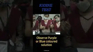 Iodine Test #shorts |Identification of Starch | #Bio shorts