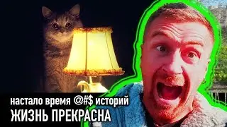 Жизнь прекрасна — РАЗНЫЕ ТЕЛЕГИ