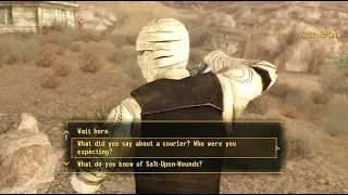 I Wish This Character was a Full-Time Companion in the Base Game