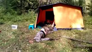 Таёжный воздух ПЬЯНИТ.