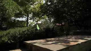 Piuma