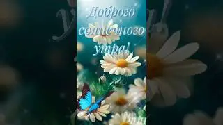 Доброго солнечного утра и прекрасного летнего дня, Друзья!(Мини-сборник)