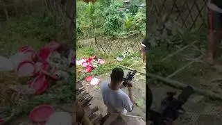 Punong nyegeng(alter)