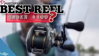 Are Piscifun Alijos Fishing Reels Worth $100? | Budget BIG Bait Reel
