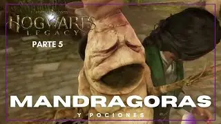 Hogwarts Legacy - Parte 5 | Jugando con Plantas Carnívoras y Pociones Explosivas 🌿💥