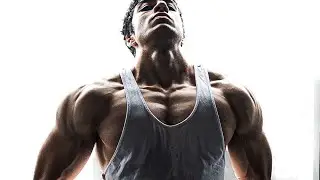 Chest Day + JLPT N1