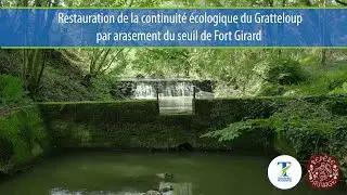 Génie écologique : Restauration de la continuité d'une rivière
