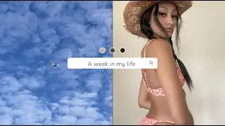 Another Weekly Vlog