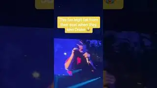 Fan Falls Downstairs at a Drake Concert