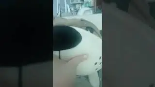Моя собака стала поваром