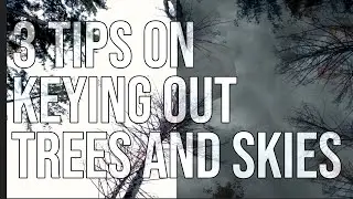 3 Tips On How To Do Sky Replacement And Key Out Trees And Clouds In After Effects