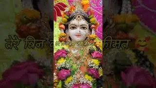 तुम ही तो हो मेरी हिम्मत तेरे बिन क्या मेरी कीमत 🥺🥺#shorts #shortsfeed #krishna #bhakti