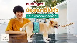 [รีวิว] หมดปัญหาน้องหมาฉี่ไปทั่วด้วย 'โอบิ' | แกะกล่องกัน by mint