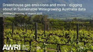 Greenhouse gas emissions and more - digging about in Sustainable Winegrowing Australia data