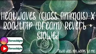 🌹 Heatwaves (Glass Animals) x Roadtrip (Dream) Reverb + Slowed 🌹 || 1 hour || Cherrucookielyrics
