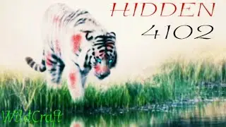 ☠Hidden4102 o devorador de Níveis... Creepypasta-WildCraft! 🐅