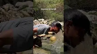 Ved 💗