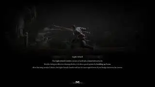 Black myth wukong