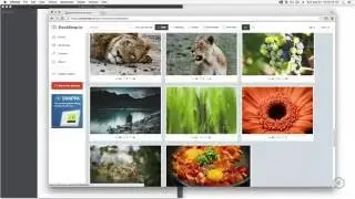 Membuat Website Dari Nol: 1 Pengumpulan Asset