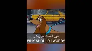 میدونستی توی کارتون بانو و سگ ولگرد