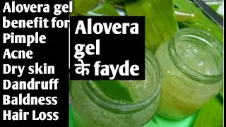 हर  skin problem के लिए alovera gel, alovera gel for face, hair, body, alovera gel ke fayde,