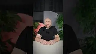 Спросили корпоративного психолога о том, о чем многие стесняются спросить 👀