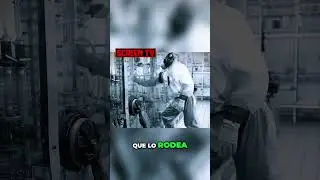 Desarme Completo de Chernobyl
